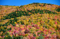 NH VT CT Oct 2022