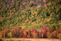 Acadia NP 2017