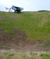 Mt Eden